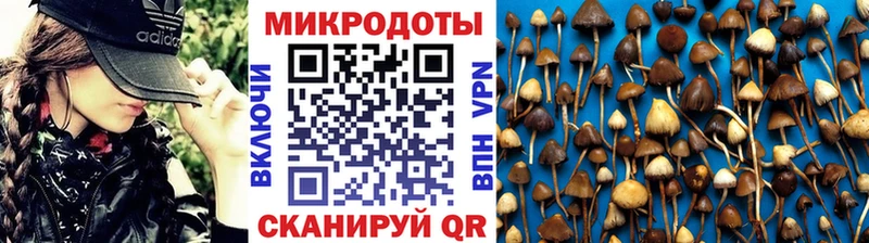 MEGA маркетплейс  дарнет шоп  Вуктыл  Галлюциногенные грибы Psilocybine cubensis 